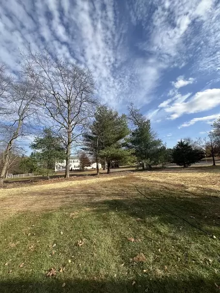 IMG_4839 (1) IMG_4839 (1)