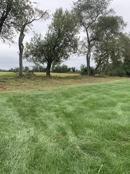 IMG_6586 (1) IMG_6586 (1)