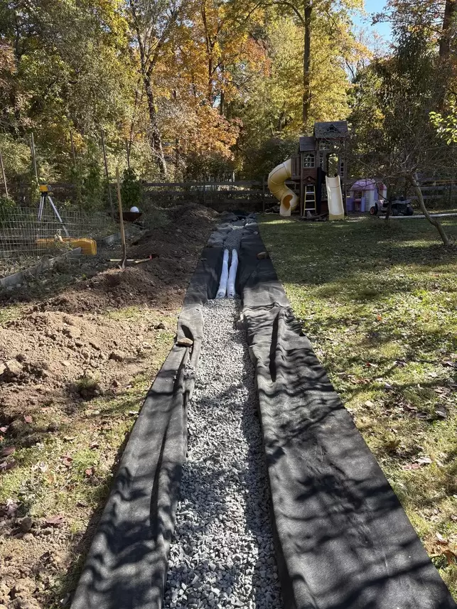 IMG_6800 (1) IMG_6800 (1)