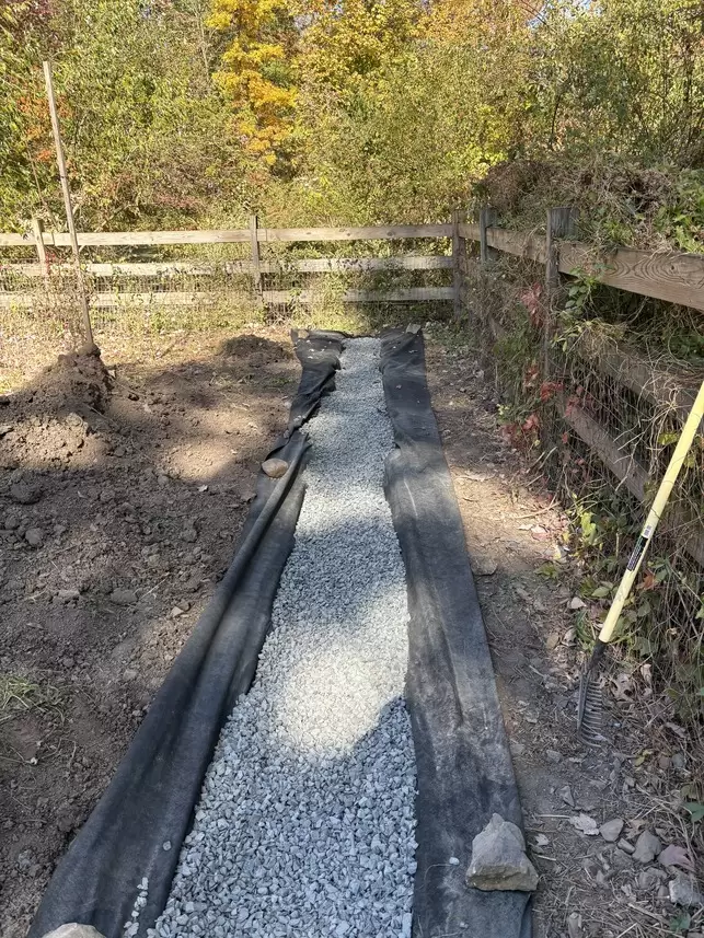 IMG_6801 (1) IMG_6801 (1)